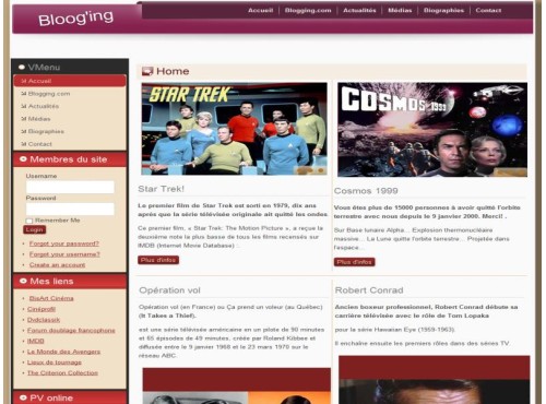 Blog wordpress 5.4